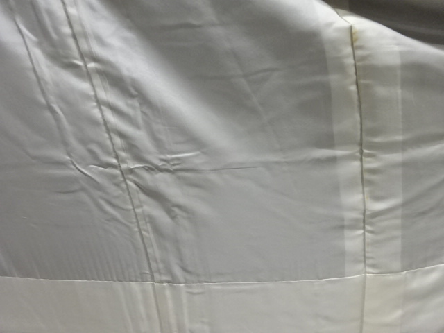 大正ロマン 娘に枝梅模様留袖(比翼付き)